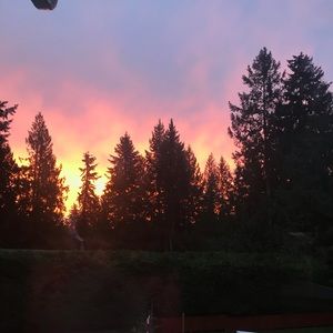 Meet your Posher, Janet